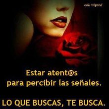 LO QUE BUSCAS, TE BUSCA…