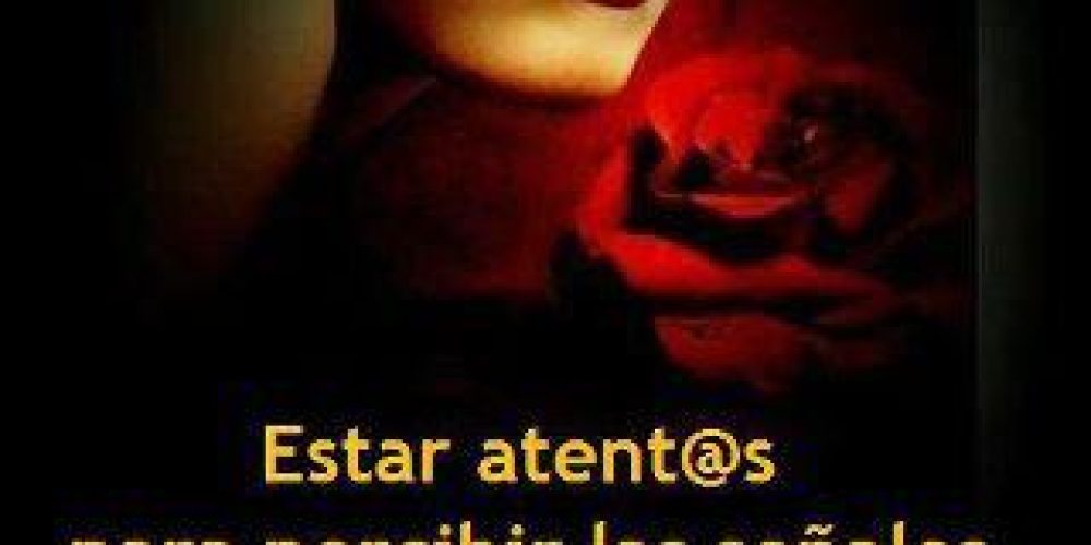 LO QUE BUSCAS, TE BUSCA&#8230;
