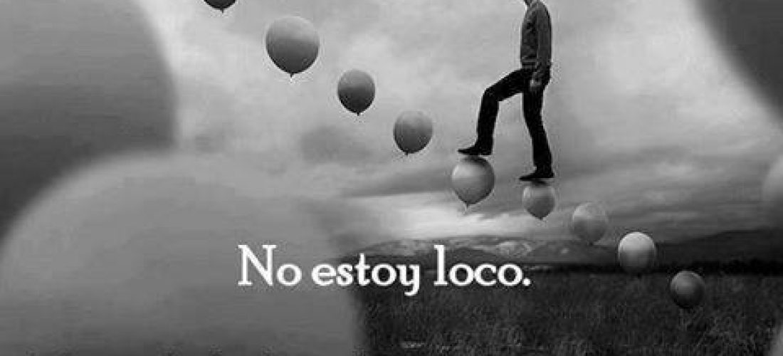 NO ESTOY LOCO…