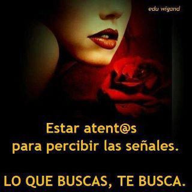 LO QUE BUSCAS, TE BUSCA…